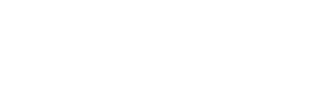 bnp logo nb