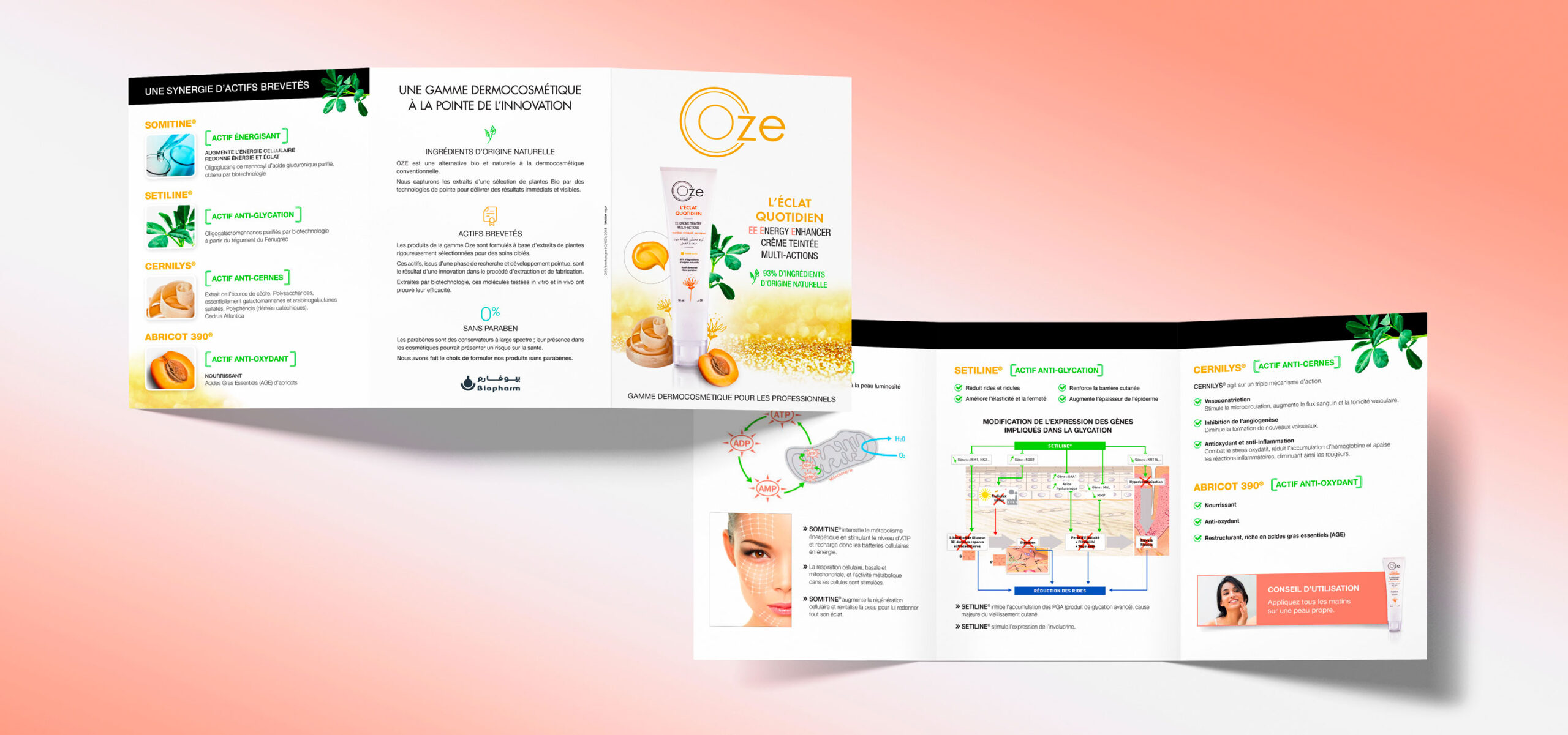 24 portfolio oze depliant 2