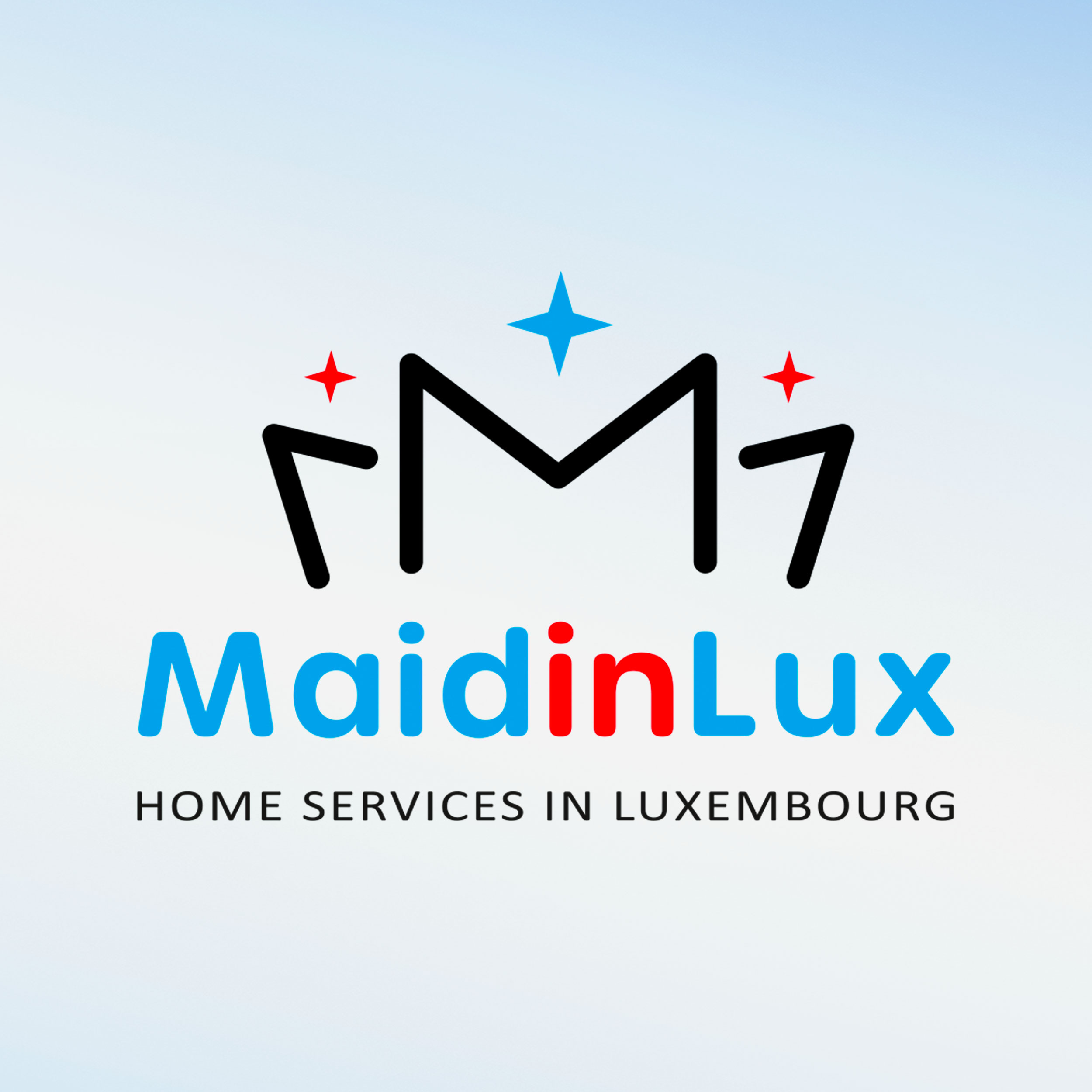 maidinlux logo
