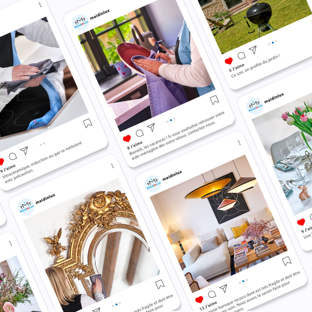 maidinlux reseaux visuel